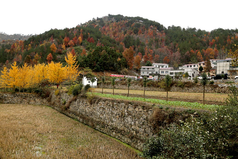 3d6a1361.jpg