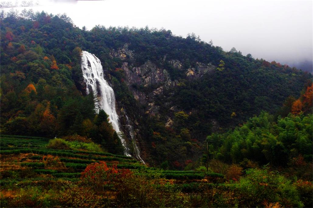 _igp3369.jpg