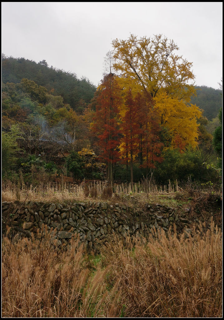dsc09097.jpg