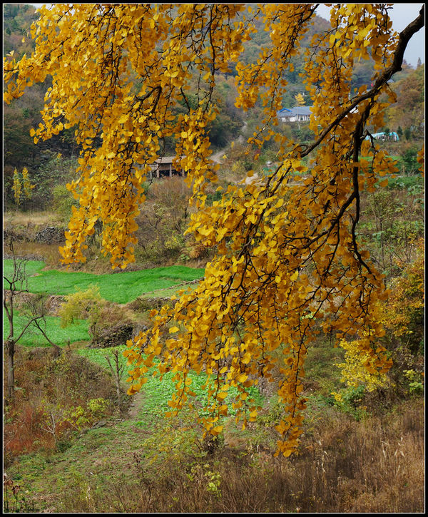 dsc08994.jpg