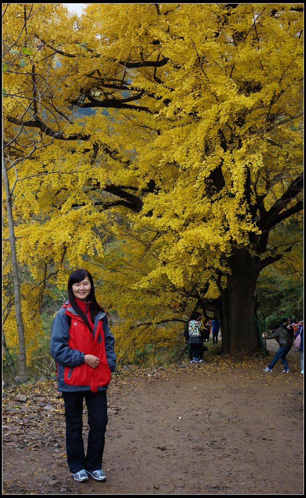 dsc08968.jpg