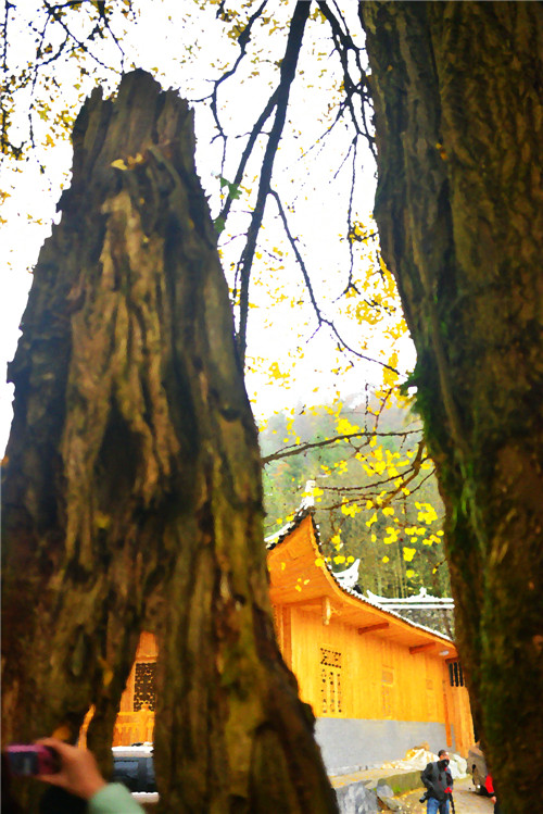 dsc_0255_����.jpg