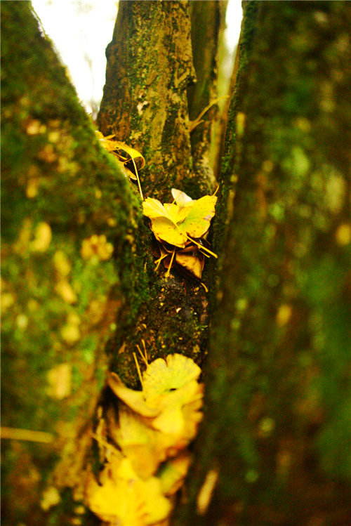 dsc_0330_����.jpg