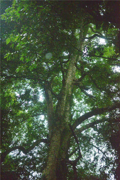 dsc_0535_����.jpg