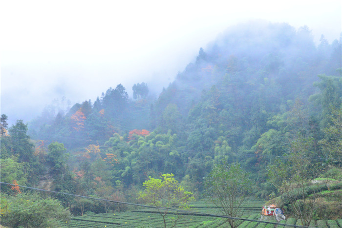 dsc_0493_����.jpg