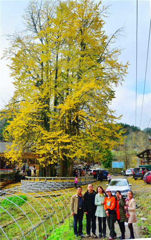 dsc_0417_����.jpg