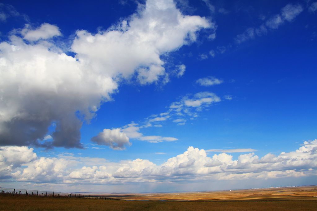z3f_0755.jpg