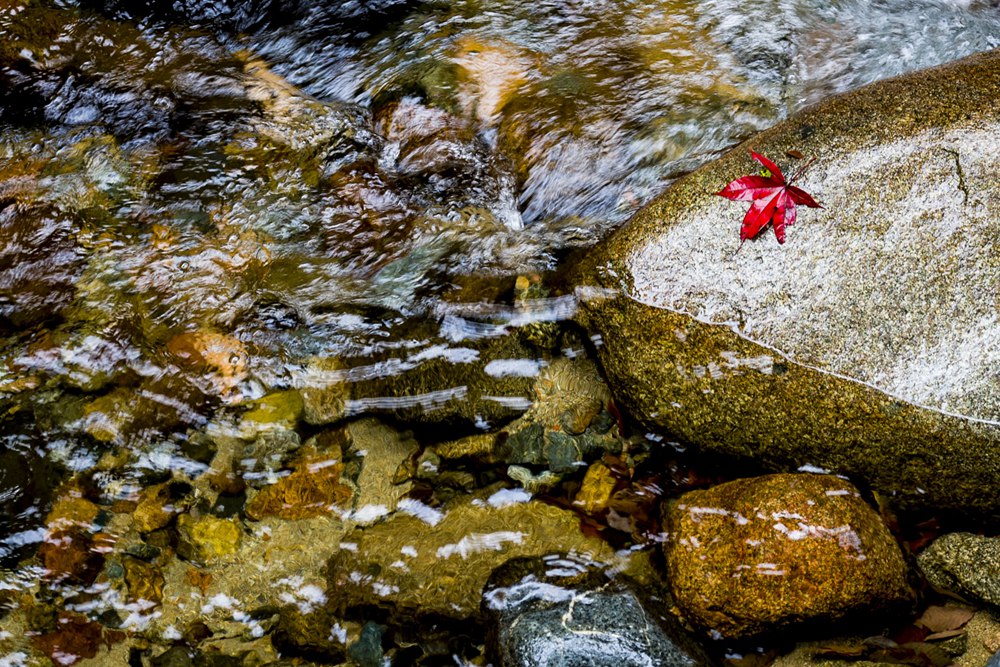 ɽ07.jpg
