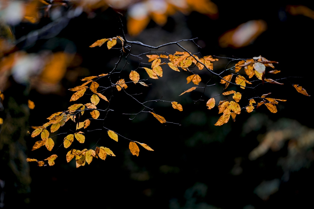 ɽ09.jpg