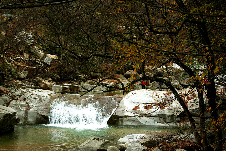 _sam0975_.jpg