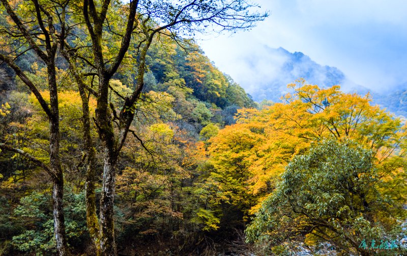 11-img_0468-编辑.jpg