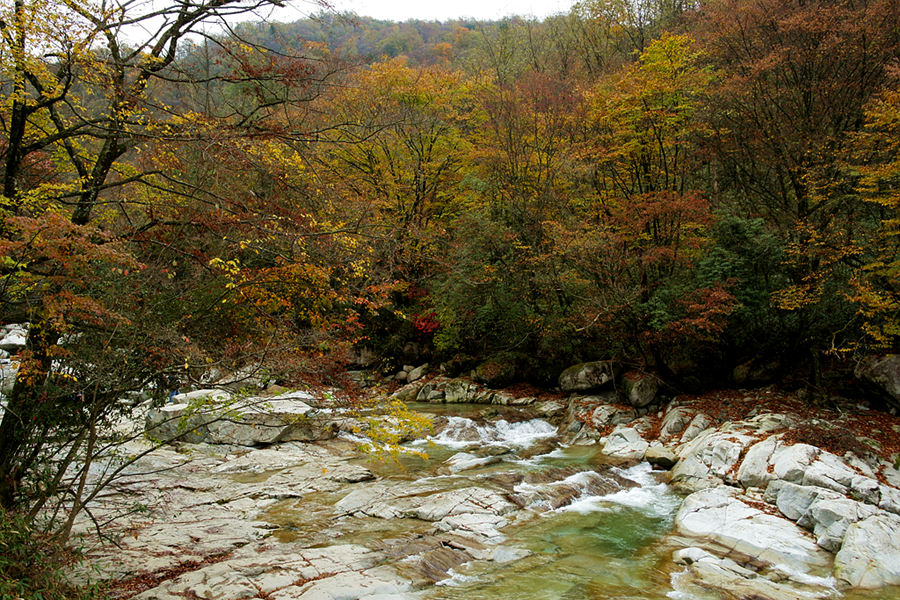 _sam0900_.jpg