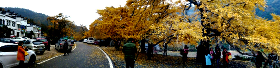 �ֻ� 367_����.jpg