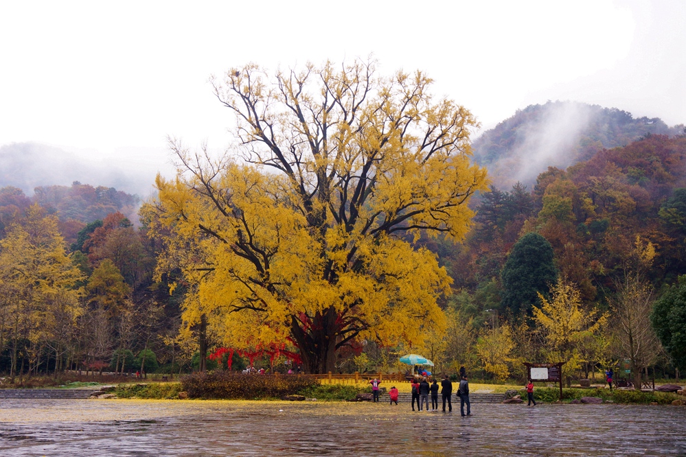 ��Խ���ɽv21.jpg