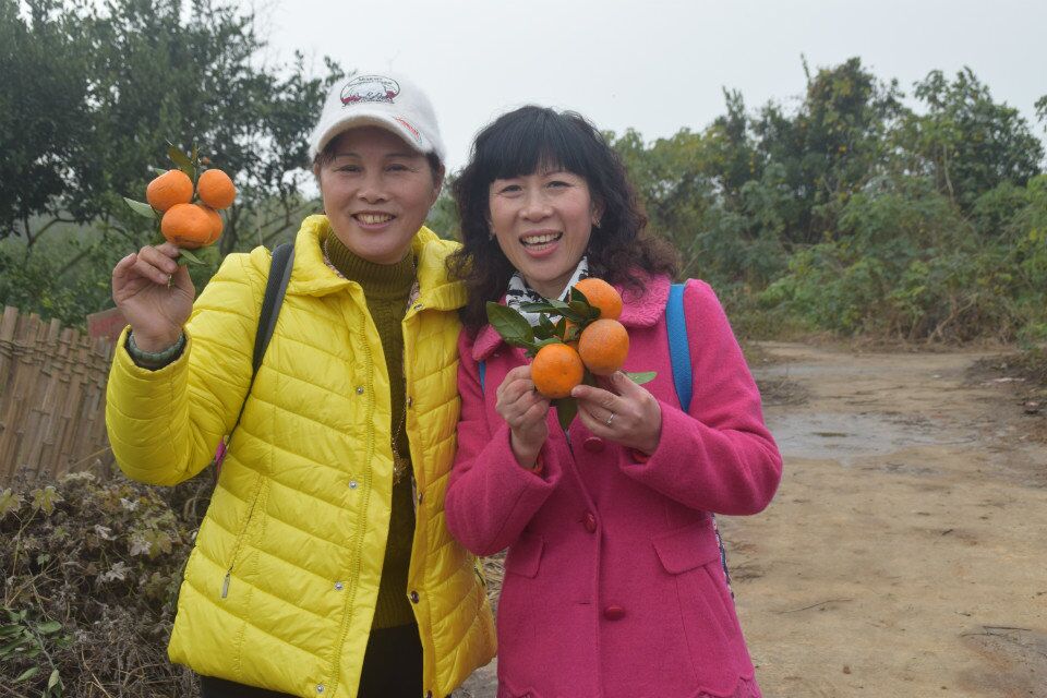 qqͼƬ20151207214126.jpg