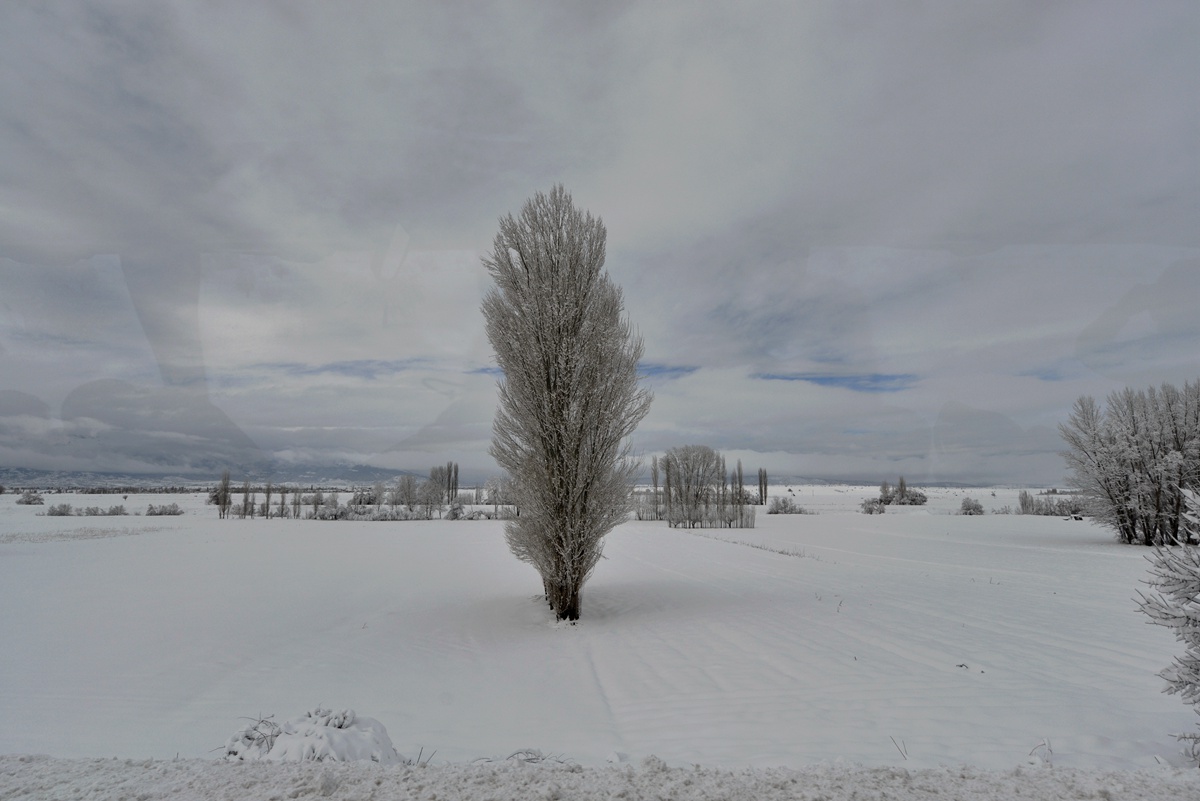 dsc_7268.jpg