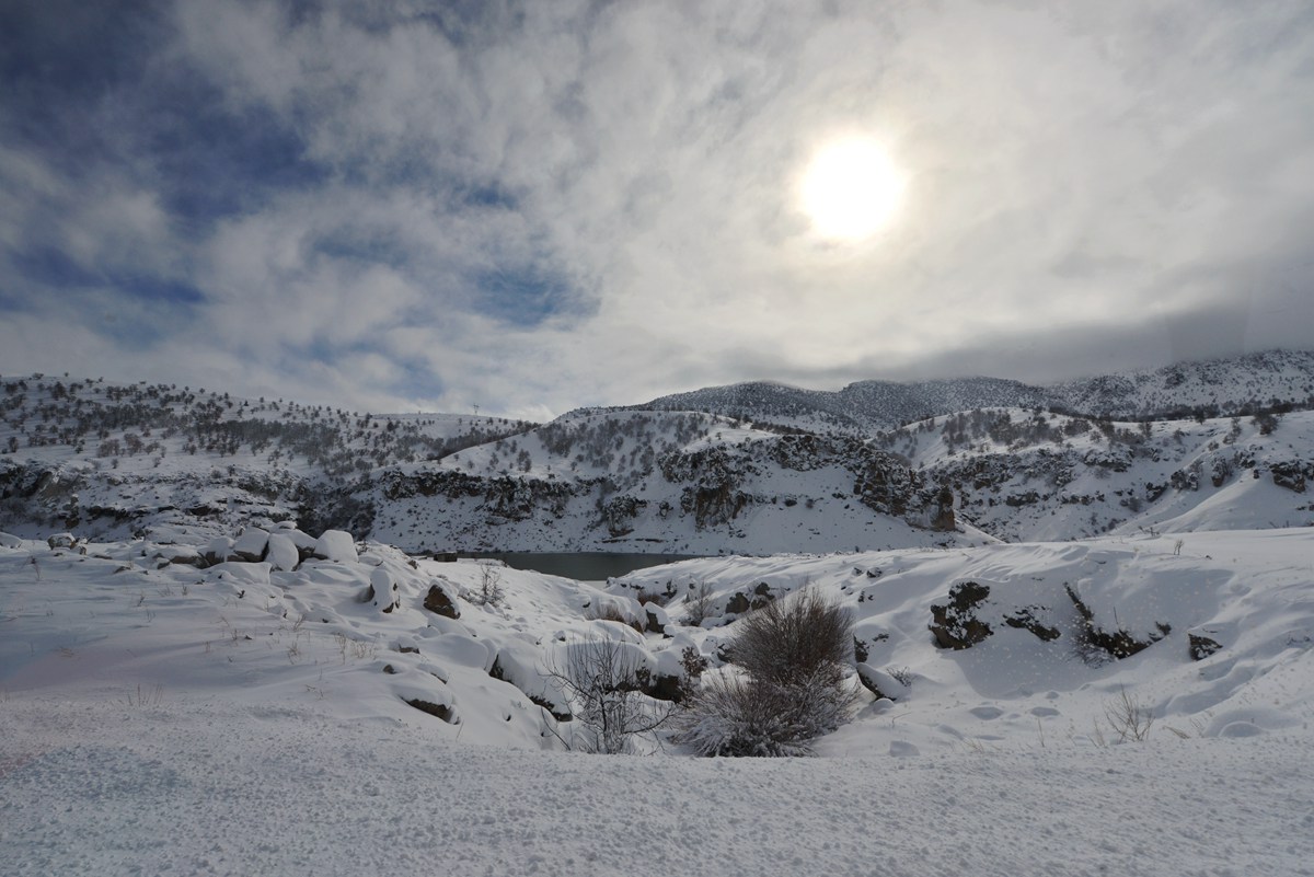 dsc_7402.jpg