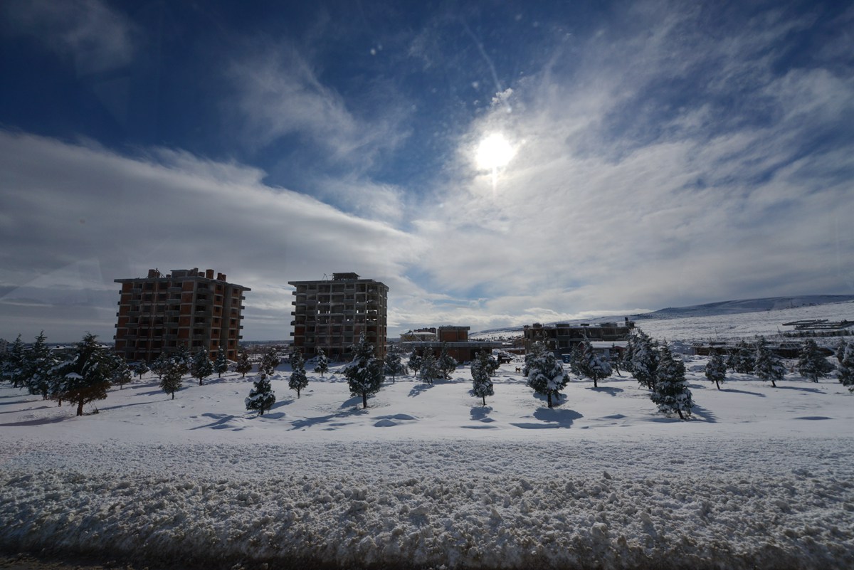 dsc_7458.jpg