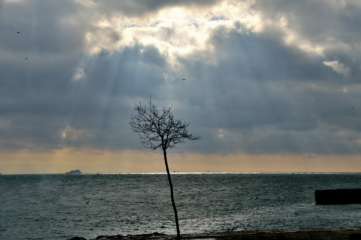 20150109 (18).jpg