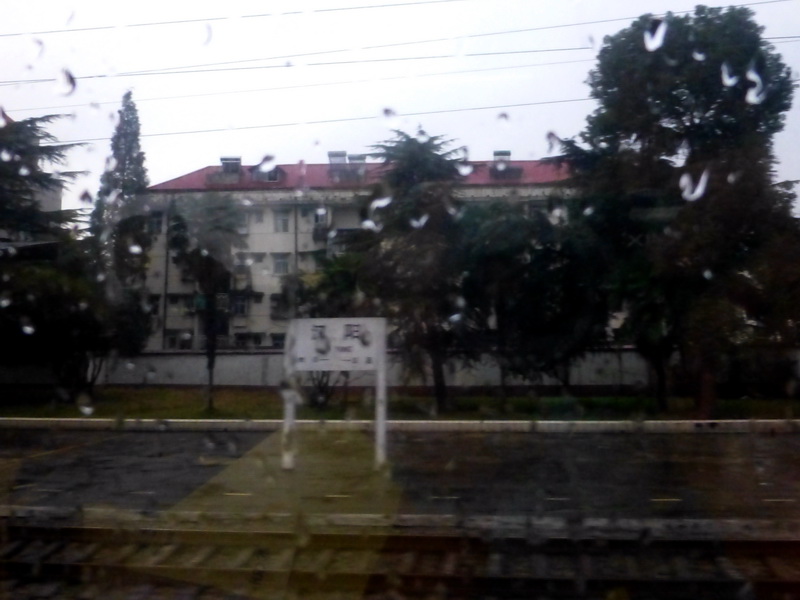 p1290532.jpg
