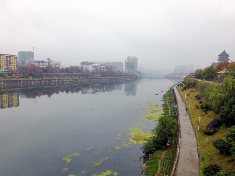 p1290552.jpg