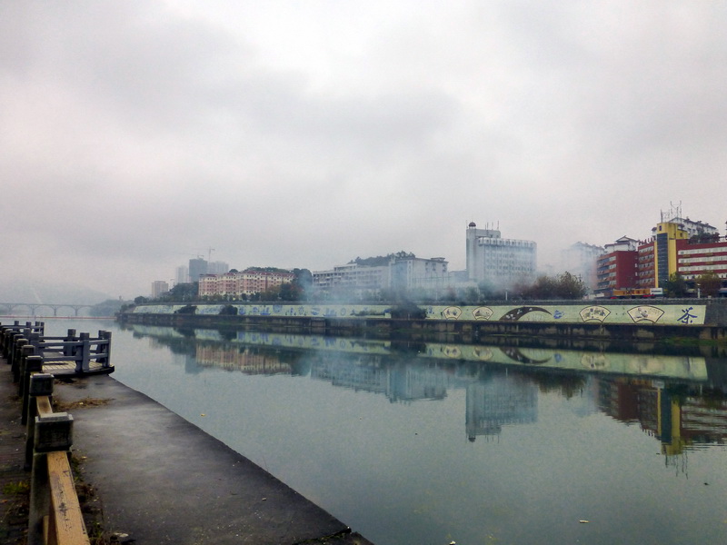 p1290560.jpg
