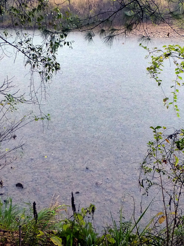 p1290698.jpg
