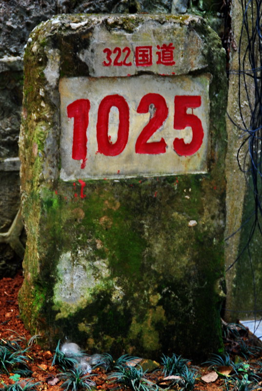 dsc_2793.jpg
