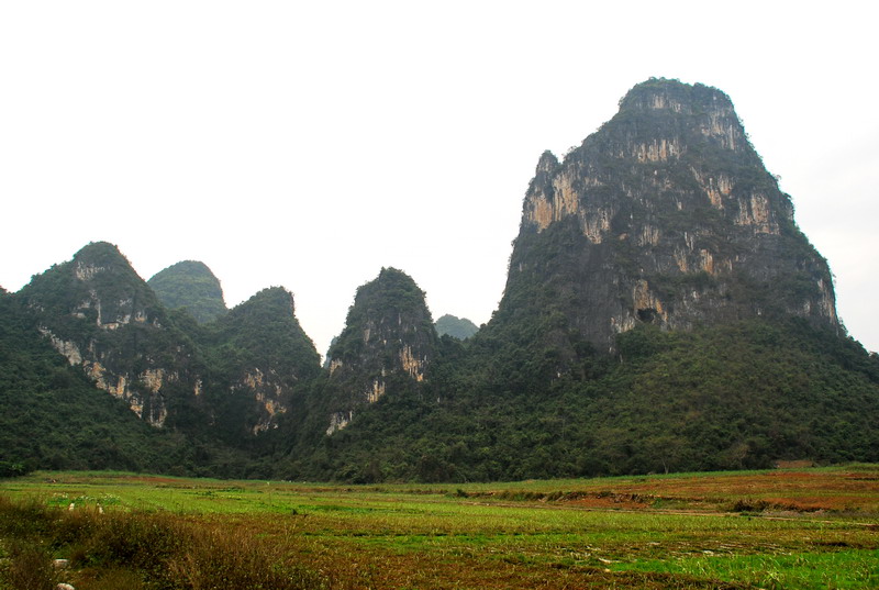 dsc_2873.jpg