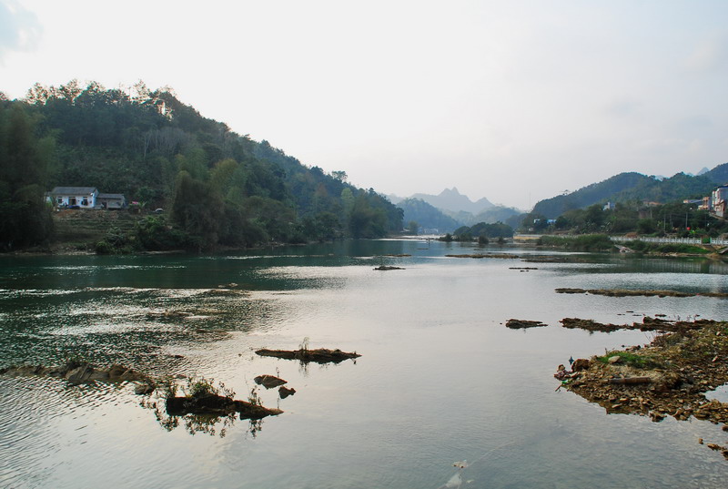 dsc_2937.jpg