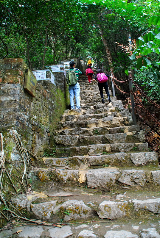 dsc_2815.jpg