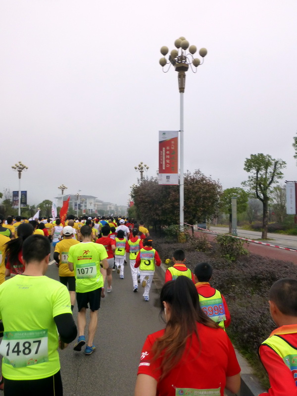 p1290815.jpg