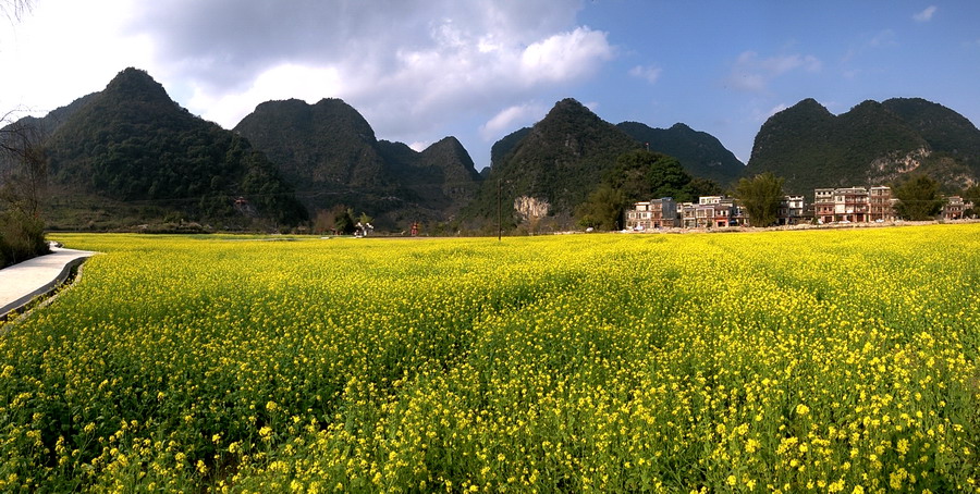 pano_20150218_163441.jpg