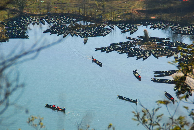 dsc_3548.jpg