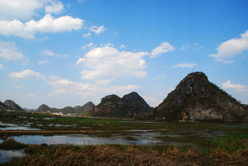 dsc_3492.jpg