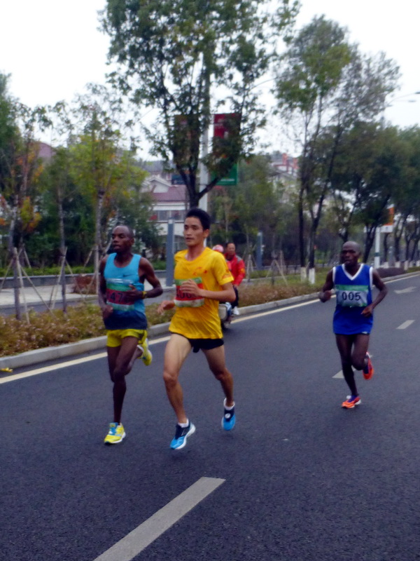 p1290829.jpg