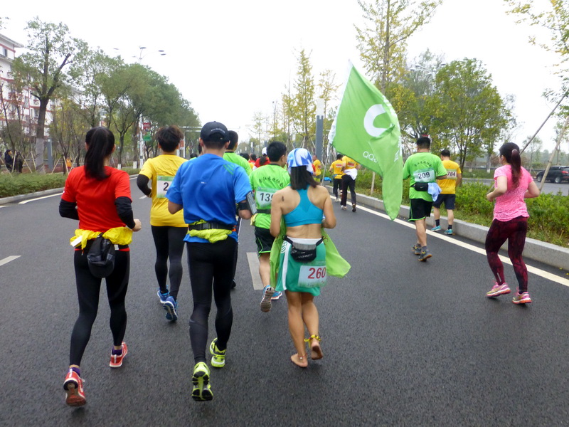 p1290833.jpg