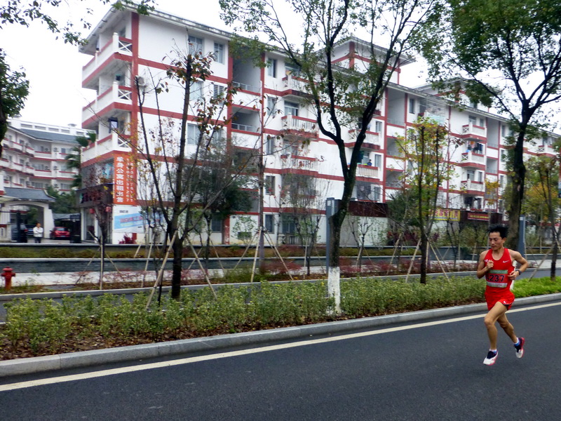 p1290834.jpg