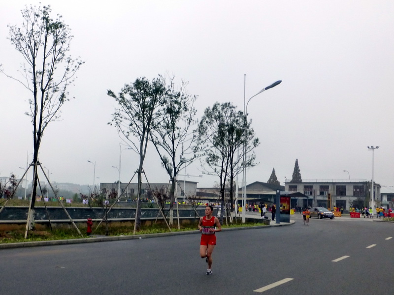 p1290846.jpg