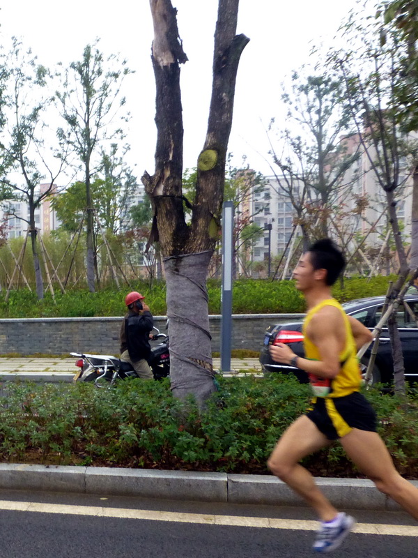 p1290842.jpg