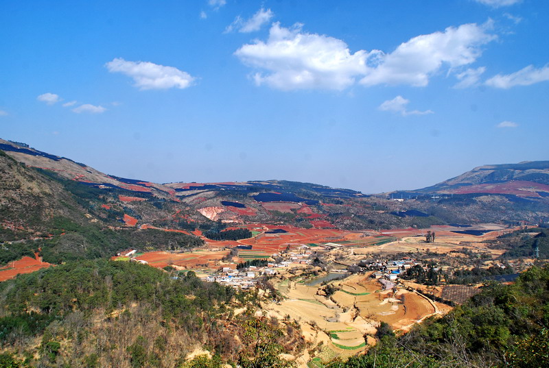 dsc_3771.jpg
