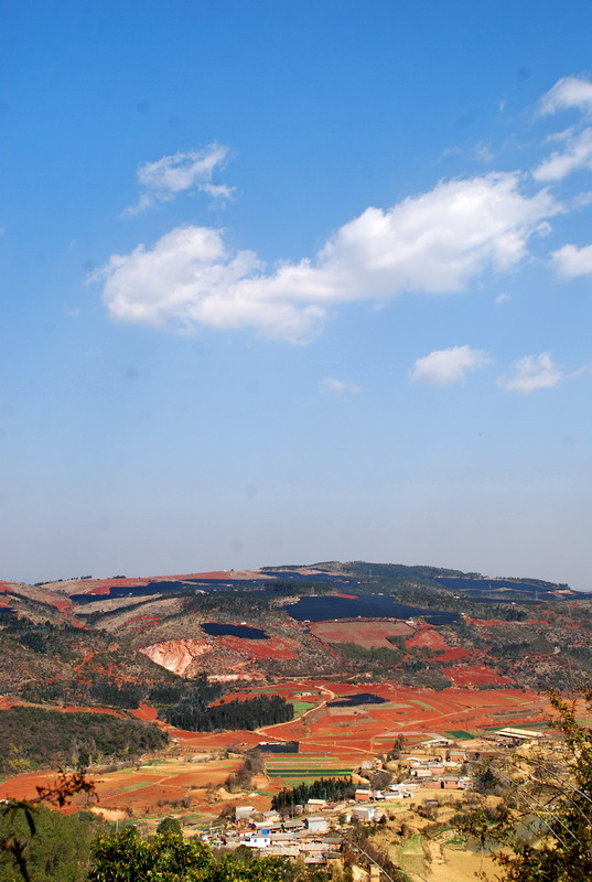 dsc_3762.jpg