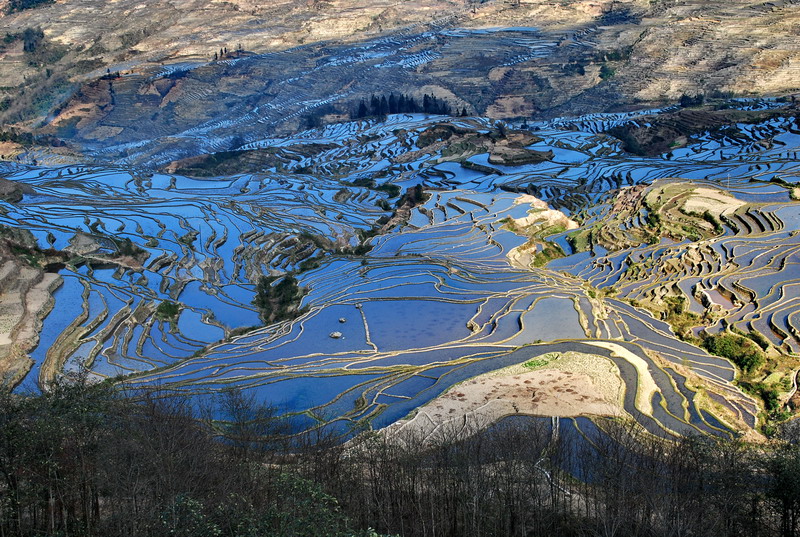 dsc_4090.jpg