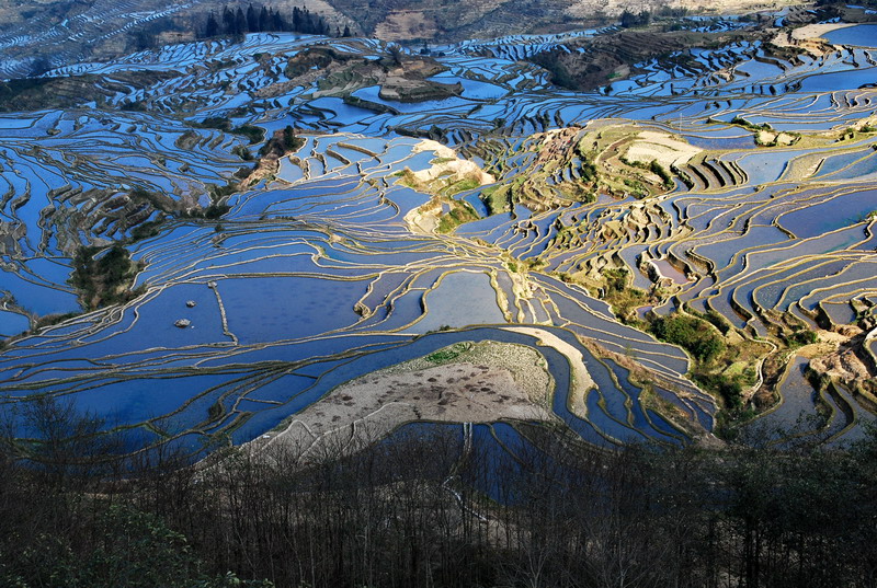 dsc_4091.jpg