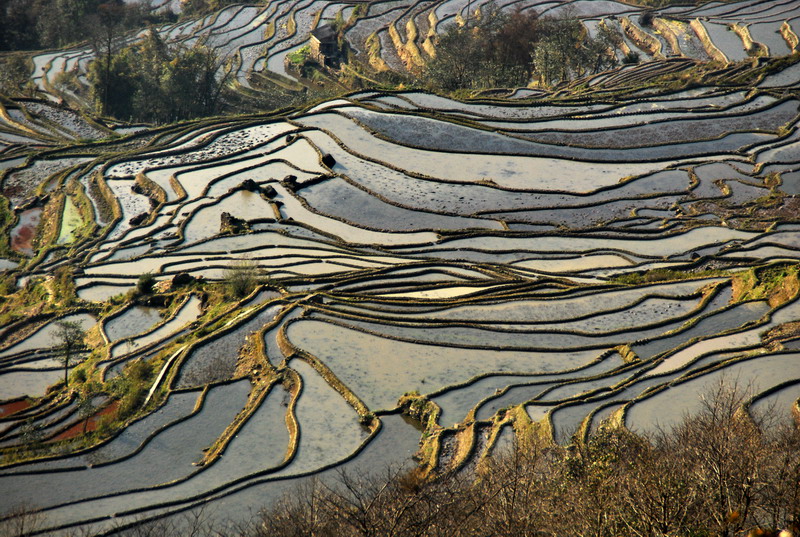 dsc_4166.jpg