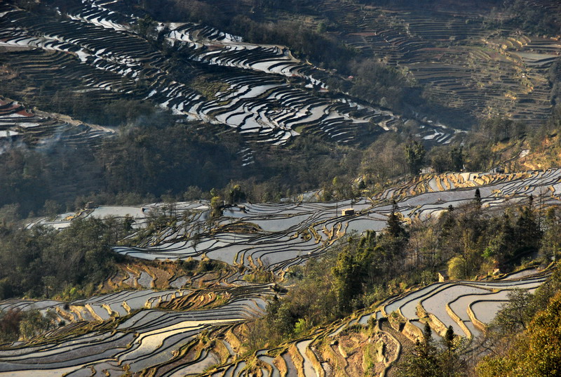 dsc_4174.jpg
