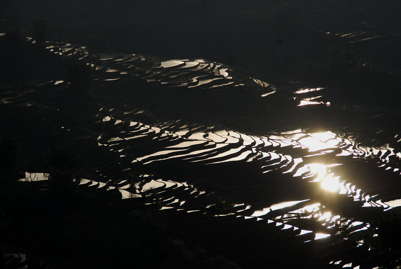 dsc_4245.jpg
