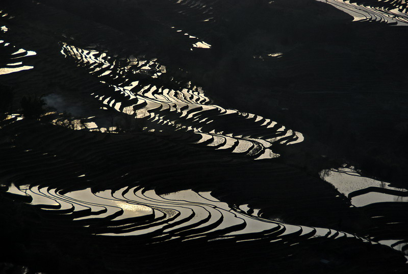 dsc_4303.jpg