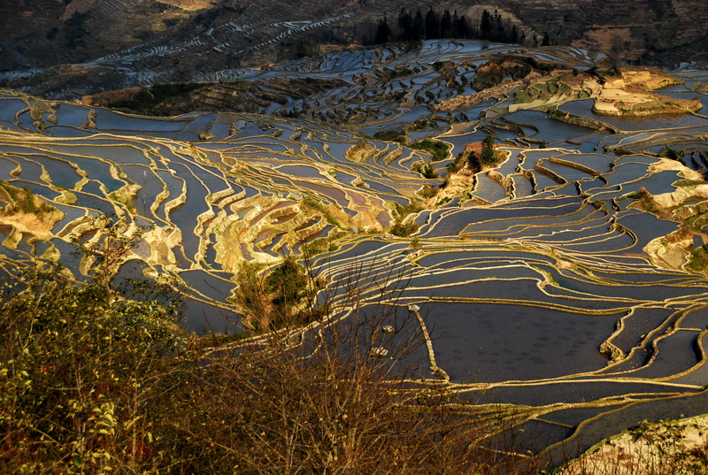 dsc_4121.jpg