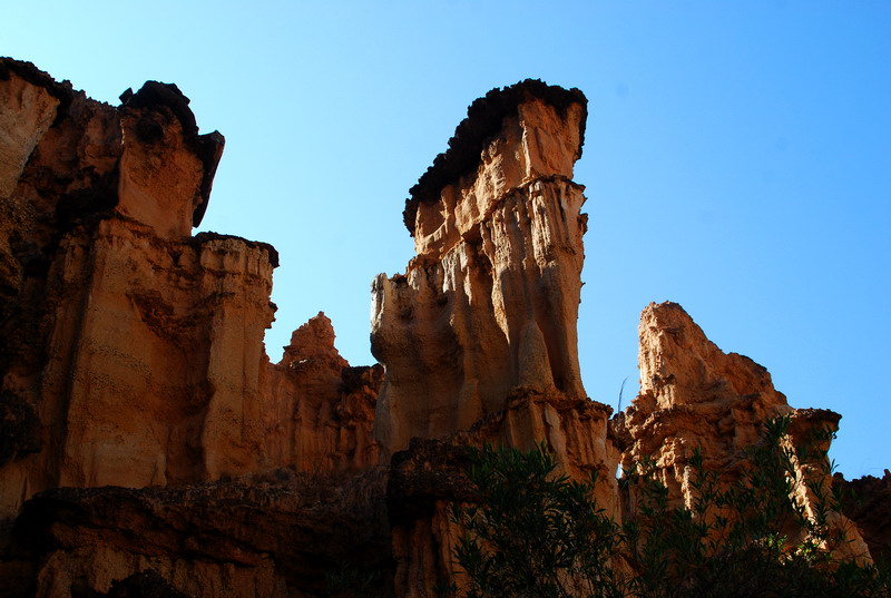 dsc_4572.jpg
